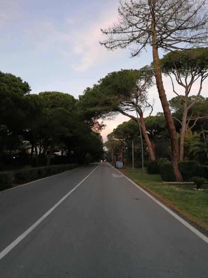 Stella Marina Appartement Principina a Mare Buitenkant foto